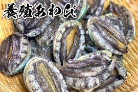 養殖あわび
