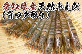 愛知県産天然車えび（背ワタ取り）