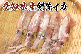 愛知県産剣先イカ