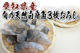 愛知県産天然白身魚の３枚卸し