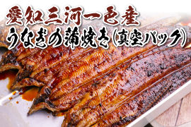 愛知三河一色産うなぎの蒲焼き(真空パック)