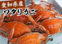愛知県産ワタリガニ