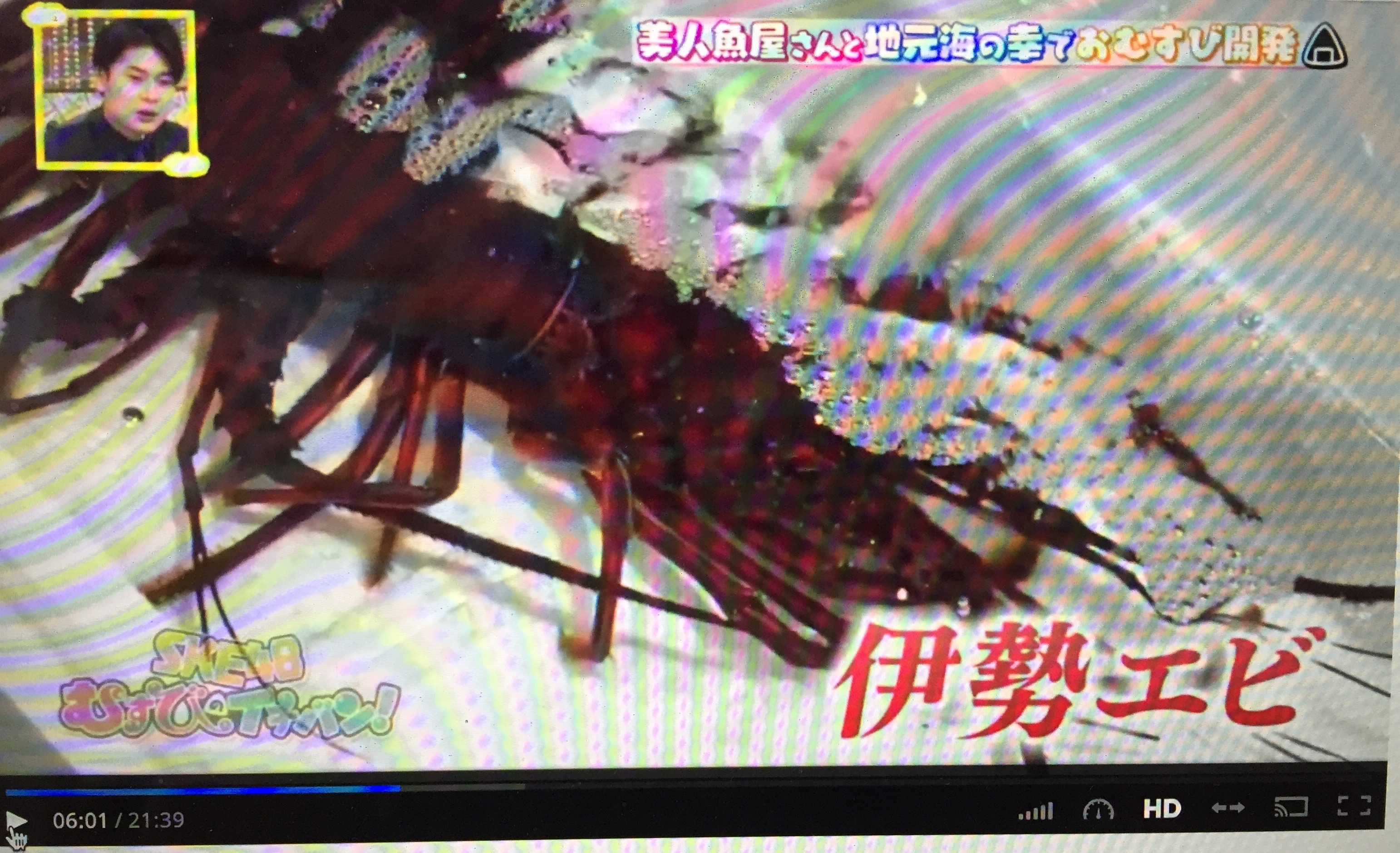 FullSizeRender 3.jpeg