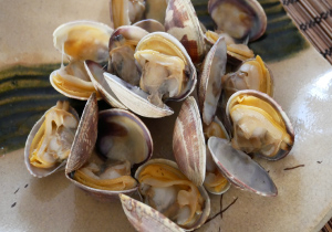 さかな屋商品イメージ